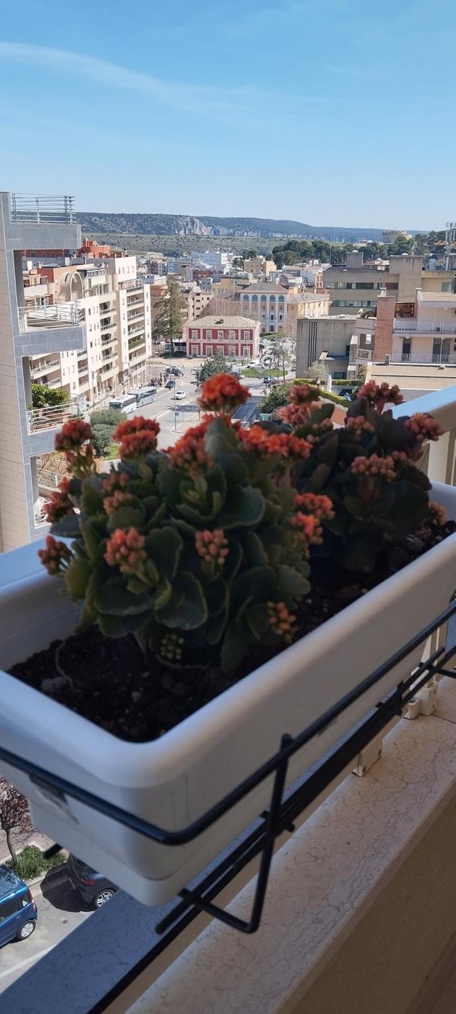 My Home Matera Exterior photo
